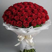 Букет 101 Красная роза Блэк Мэджик в Электроизолятор