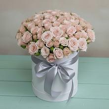 Цветочная композиция из Розы в шляпной коробке #REPLACE_PRED# Электроизолятор