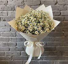 Букет цветов из:  Ромашки #REPLACE_PRED# Электроизолятор