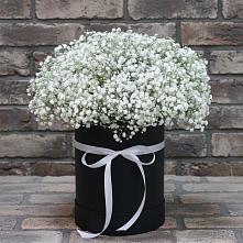 Цветочная композиция из Гипсофила в шляпной коробке в Электроизолятор