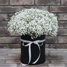 Цветочная композиция из Гипсофила в шляпной коробке в Электроизолятор